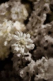 Fleurs à l'huile sur Quay Art