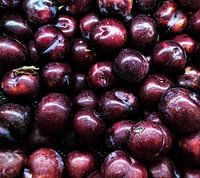 Plum Dusk: Rijke fluwelen vruchtenstapel