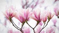 Magnolia een bloem die het voorjaar aankondigt van Francis Dost thumbnail