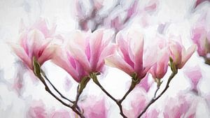 Magnolia, une fleur annonçant le printemps