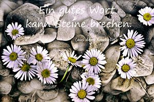 Ein gutes Wort kann Steine brechen