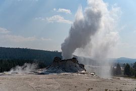 Geyser in Yellowstone National Park, USA by Jeroen van Deel