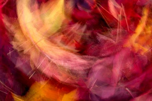 Omarming door de herfst