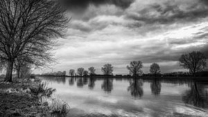Der Maas
