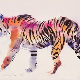 Tiger by Mark Adlington