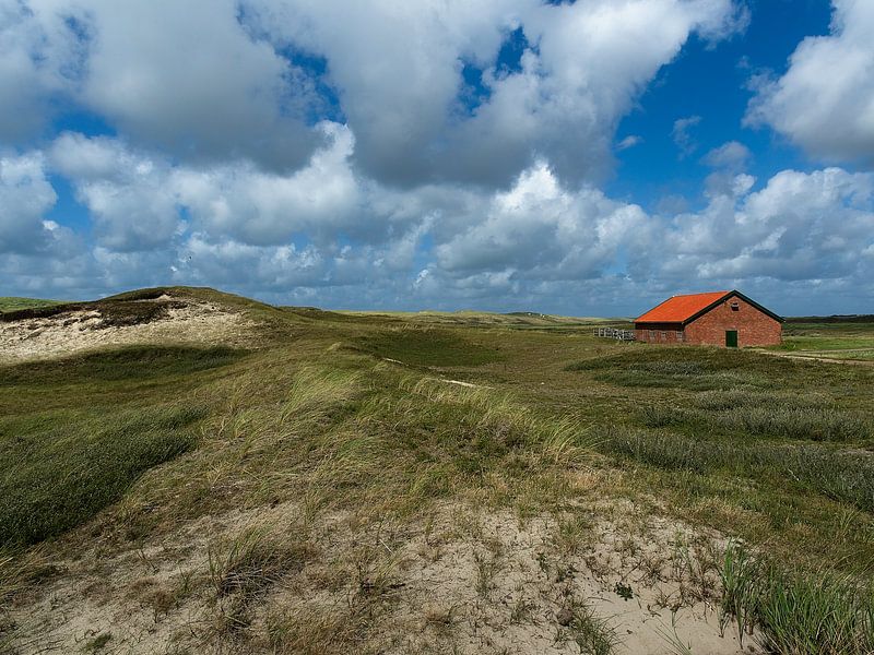 Landschap Texel van Louis Kreuk