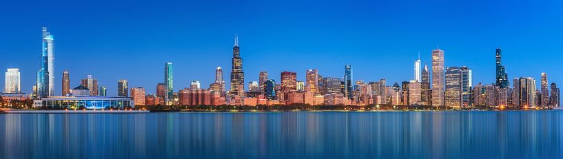 Chicago skyline van Photo Wall Decoration