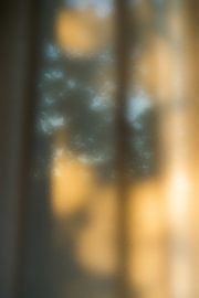 Außenluft von Evelien van Rijn