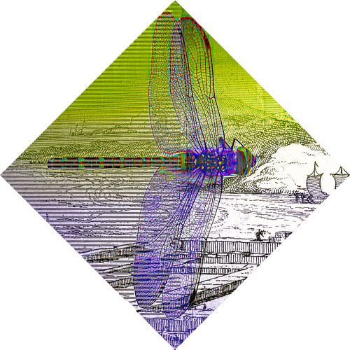 Project Plesmantunnel - Leiden