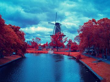 Mill museum de Valk at the waterfront by Dracorubio