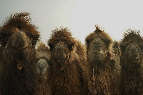 Audience particulière