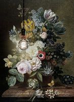 The Moth and the Still Life