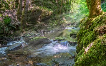 Valley of the wild Endert, Eifel, Rhineland-Palatinate, Germany by Alexander Ludwig