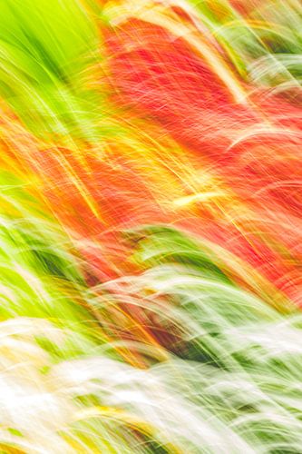 vlammen van Jan Peter Jansen