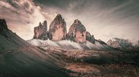 Die Drei Zinnen im Abendlicht - Tre Cime de Lavaredo von Steffen Peters Miniaturansicht