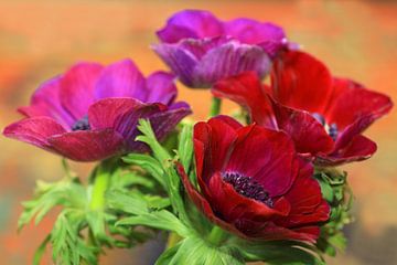 Vrolijke bloemen van Jolanta Mayerberg