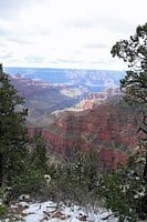 North Rim Grand Canyon View