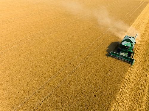 Combaine oogst tarwe tijdens de zomer