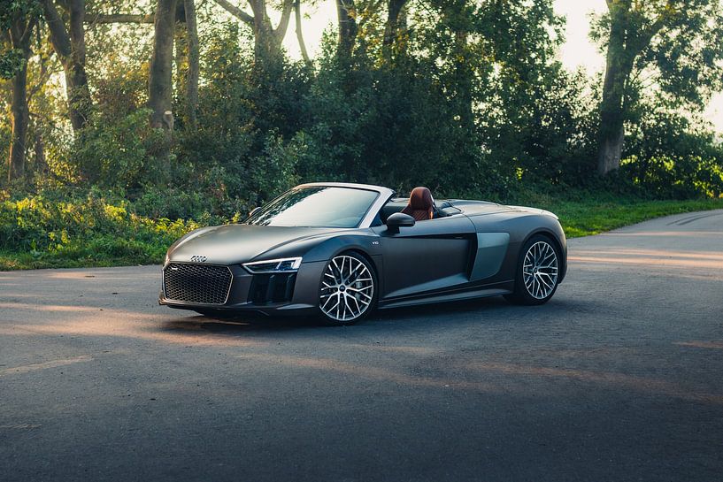 Audi R8 V10 in einer Atemberaubenden Grünen Landschaft während des Sonnenuntergangs von Sebastiaan van 't Hoog