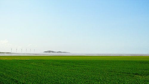 Landschap met windmolens
