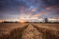Langelandstermolen_Garmerwolde_2022