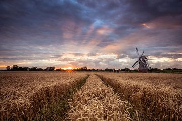 Langelandstermolen_Garmerwolde_2022 by Ronnie Schuringa