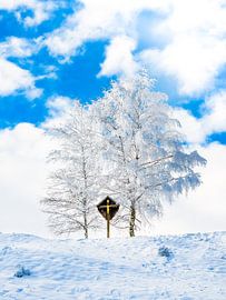 Snowy landscape by Alexander Dorn