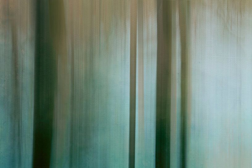 Mystic memories par Suzanne Bruinsma