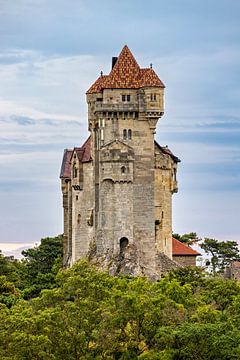 Kasteel van Liechtenstein van Roland Brack