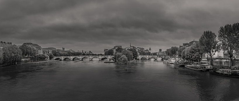 Pont Neuf in Parijs van Toon van den Einde