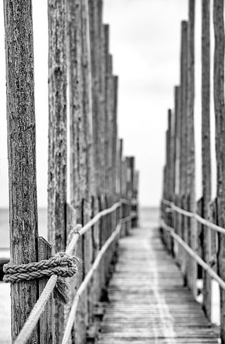 Texel, jetty to boat the Friendship.