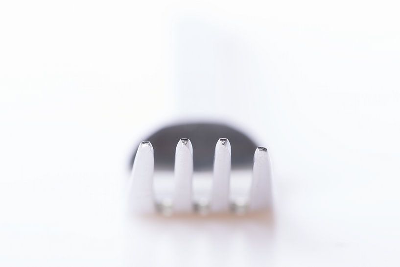 Fork by Hille Monster
