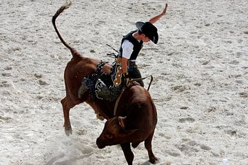 Rodeo Cowboy von Gerrit de Heus