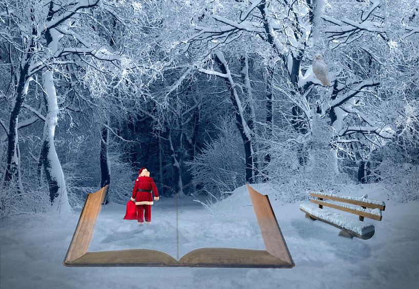 Weihnachtlicher Winterspaziergang van Ursula Di Chito