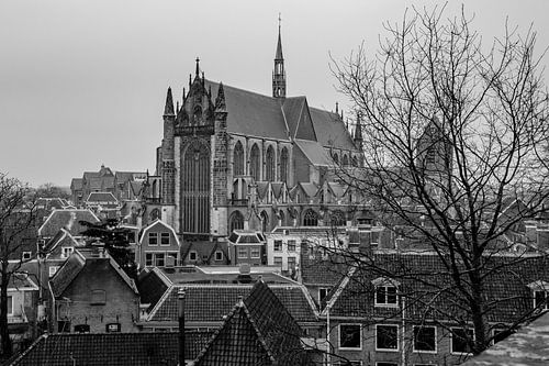 Cityscape Leiden