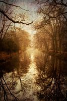 Fairytale