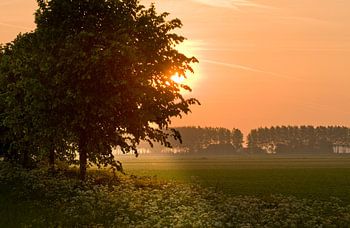 Coucher de soleil sur la campagne.