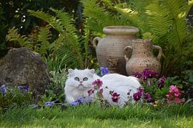 she sees them fly by Petra van Engelenburcht