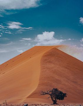 Dune in Sossusvlei in Namibia, Africa by Patrick Groß