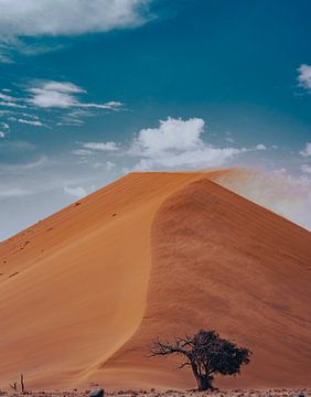 Duin in Sossusvlei in Namibië, Afrika van Patrick Groß