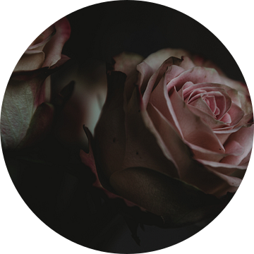 Romance with roses van Marije Jellema