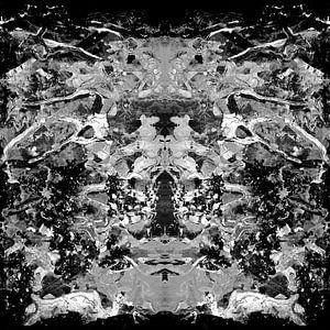 ZWART-WITTE ABSTRACTIE-1
