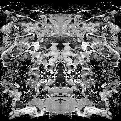 ZWART-WITTE ABSTRACTIE-1