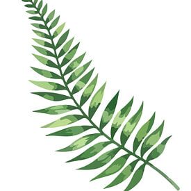 Tijdloze flora: varen in het wit van AidasignArt