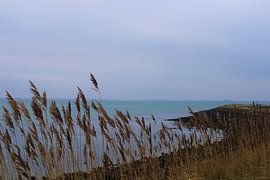 Zierikzee, Zeeland, Niederlande von Suzan Stenzel