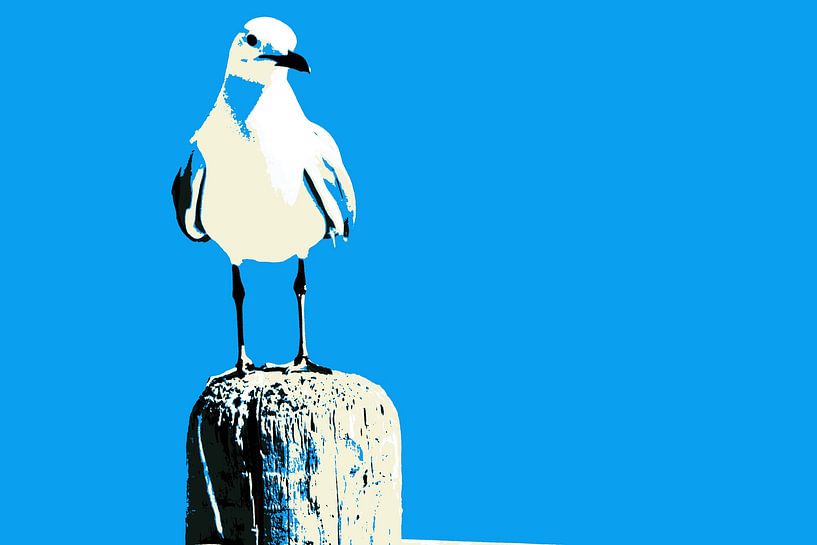 une mouette mixed media par Werner Lehmann