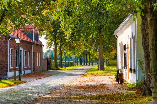 Wandelen op een rustieke weg