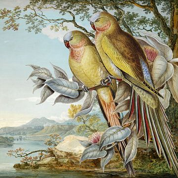 Parakeets over the River Severn van Marja van den Hurk