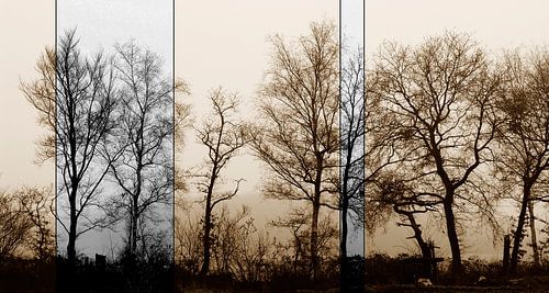 Alte Bäume in moderner Bearbeitung