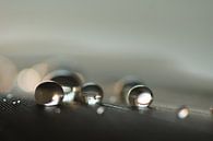 Meet the drops van Carla Mesken-Dijkhoff thumbnail